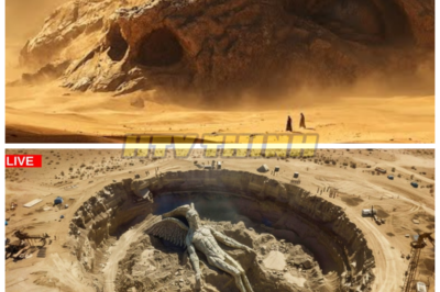 🔥 **“GOD CALLED THEM WATCHERS” — PHYSICAL PROOF THEY ARE HERE HAS FINALLY BEEN FOUND 👁️🛸 WHAT COSMIC TRUTH HAVE WE BEEN DENIED FOR MILLENNIA? In a stunning revelation that reads like a mash‑up of scripture and sci‑fi mythology, researchers claim to have uncovered artifacts and biological evidence suggesting entities the ancients called “Watchers” aren’t just myth — now material remnants, anomalous DNA sequences, and inexplicable energy signatures have ignited global shockwaves — if these beings truly walk among us, why has humanity been kept in the dark until now? 👇