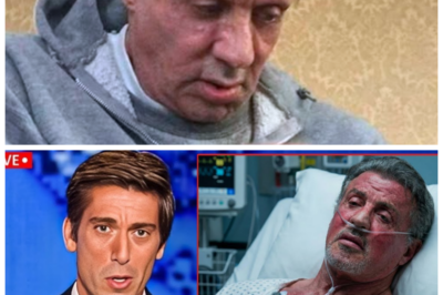 “Sylvester Stallone’s Shocking Downfall: From Hollywood Icon to Heartbroken Has-Been!” 🎭 “Who knew the Rocky star would end up down for the count?” As Sylvester Stallone turns 79, whispers of a devastating personal crisis echo through Hollywood, leaving fans gasping in disbelief. Once the epitome of strength and resilience, Stallone now faces a heartbreaking reality as his family crumbles and relationships disintegrate. With estranged children and a bitter feud with his beloved ex-wife, the man who once conquered the silver screen is now fighting a battle far more brutal than any cinematic showdown. Will he rise from the ashes or fade into obscurity? The drama unfolds, and the world watches with bated breath. 👇