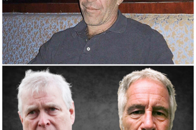 🐘 “Shocking Secrets Exposed: Exotic Dancer’s ‘Threesome’ with Epstein and Andrew Revealed! ⚡” Prepare for the unexpected as an exotic dancer shares scandalous details of a ‘threesome’ involving Jeffrey Epstein and ex-Prince Andrew, sending shockwaves through high society. “In a world where secrets reign, the truth can be even more scandalous!” This revelation not only sheds light on the dark dealings of the elite but also raises questions about accountability and justice in the wake of such explosive claims. Join us as we unravel the shocking truths behind this scandal! 👇