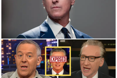 🐘 “Gutfeld and Maher SLAM Gavin Newsom: A Live TV Showdown You Can’t Miss!” 📺 “When sharp wit meets political firepower, the results are electrifying!” In an unforgettable live segment, Greg Gutfeld and Bill Maher took Governor Gavin Newsom to task, sparking a debate that captivated audiences. What were the key takeaways from this intense confrontation, and how did it shape the political landscape? Don’t miss the highlights of this explosive encounter! 👇