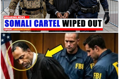ICE & FBI Raid Minnesota Cartel Network — Judge Linked to $18,000,000,000 Fraud Uncovered
