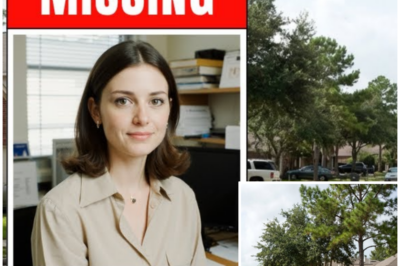 She Disappeared Without a Trace — 17 Years Later, Houston Reopens the Elise Morgan Mystery and the Man Who Slept Beside Her the Night She Vanished Can’t Escape the Questions