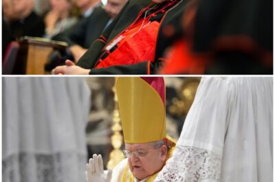 Cardinal Raymond Burke: The Conservative Voice Shaping Catholicism’s Future!