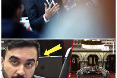 🐘 HUMILIATION for Zohran Mamdani: Campaign Promises COLLAPSE, Leaving a Political Legacy in Jeopardy! 💣 “In the arena of politics, accountability is everything.” In a dramatic twist, Zohran Mamdani’s campaign has been thrown into chaos as key promises disintegrate, leading to widespread embarrassment. What went wrong, and how will this impact his future in politics? As the public and media scrutinize every move, Mamdani faces the challenge of turning this setback into an opportunity for redemption. The tension is palpable! 👇