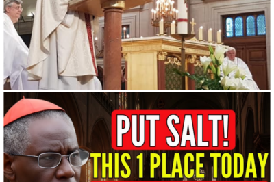 🧂 URGENT WARNING FROM CARDINAL ROBERT SARAH: “THE SALT BOUNDARY” — A SIMPLE ACT TODAY COULD SPIRITUALLY SEAL YOUR HOME FOR FEBRUARY AND TURN BACK THE SHADOWS AT YOUR DOOR 🧂 Candles flicker, doors creak, and the message spreads like wildfire through parishes as families rush to their kitchens, sprinkling grains with trembling hands, wondering if this ancient sign of blessing is the quiet shield they never knew they needed 👇