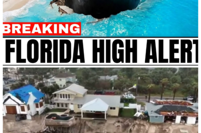 Florida’s Coast CAVES IN—Massive Sinkholes ENGULF Beaches as Ancient Limestone COLLAPSES Underground