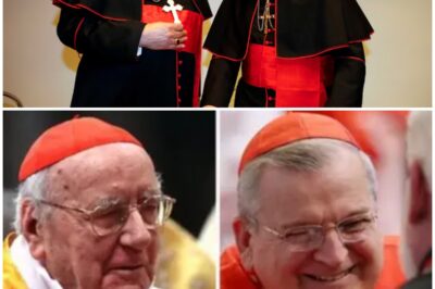 Cardinal Burke Sparks Fury Blaming ‘Homosexual Culture’ For Church Abuse!