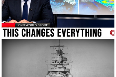 Deep Sea Camera Reached the Bismarck’s Admiral Suite