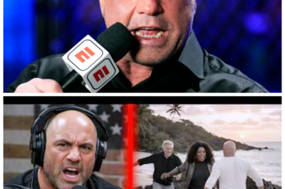 Joe Rogan Drops Bombshells About Oprah in the Epstein Files! 😮💥 – “The truth is more disturbing than fiction!”  In an explosive segment, Joe Rogan drops bombshells regarding Oprah Winfrey’s connections to the Epstein Files, revealing truths that are more disturbing than fiction! 😮💥 “The truth is out there!” he insists, exploring the implications of these findings on public perception. As fans react to this shocking information, the narrative surrounding powerful figures continues to evolve. Get ready for a critical look at the complexities of fame and influence! 👇
