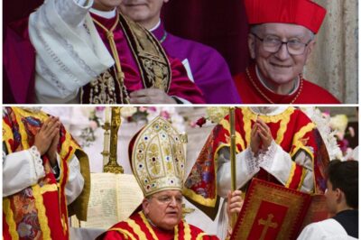 Pope Francis Demotes Cardinal Burke: Wisconsin Catholics Outraged!