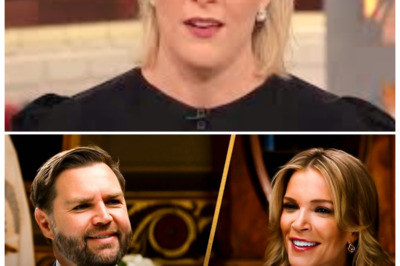 🐘 Unfiltered and Revealing: The FULL Interview with VP JD Vance and Megyn Kelly! 📺 “Step into the conversation as VP JD Vance opens up to Megyn Kelly about his role in the current political landscape. This full interview covers a range of topics that matter to voters and reveals Vance’s thoughts on key issues. What insights did he provide? Don’t miss this compelling discussion! 👇”