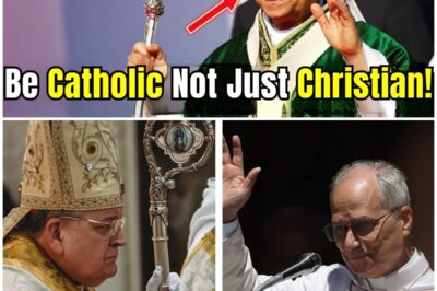 Pope Leo XIV Drops Bombshell: Why Catholicism Triumphs Over Protestantism!