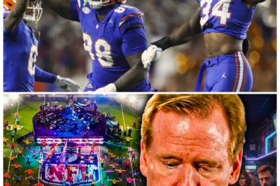 🐘 NFL’s Super Bowl Nightmare: Ratings PLUMMET, League Loses BILLIONS! 🌪️ “When the biggest event in sports falters, the entire league feels the impact!” In a dramatic turn of events, the Super Bowl has experienced a steep decline in ratings, leading to financial losses that could reshape the NFL landscape. As the league faces this unprecedented challenge, questions arise about its future direction and fan engagement. What steps will the NFL take to recover? 👇