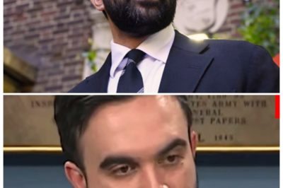 🐘 ASTOUNDING: Mamdani Confronted – ‘Would You Really, When Push Comes To Shove, Raise The Property Taxes?’ 🏙️ “A defining moment for the mayor!” In a candid interview, Mayor Mamdani was pressed with the tough question that has many residents worried: “Would you really raise property taxes?” His response could either solidify his plans or spark a backlash from an already frustrated populace. As the city grapples with financial challenges, will Mamdani reassure citizens, or will he double down on his controversial stance? The community is watching closely! 👇