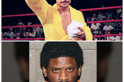 🐘 UNBELIEVABLE: The Fatal Encounters – 12 Boxers Who Took Lives! 🔥 “A chilling reality!” Behind the glitz of the boxing world lies a disturbing truth: several celebrated fighters have been implicated in real-life killings. This eye-opening exploration delves into the lives of 12 boxers who faced tragic circumstances resulting in death. How did these incidents unfold, and what consequences did they face? The stories will leave you stunned! 👇