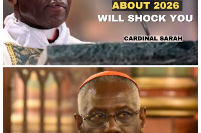 Last Night’s Vision, Virgin Mary Warns Cardinal Sarah — Shocking Global Event Approaches in 2026