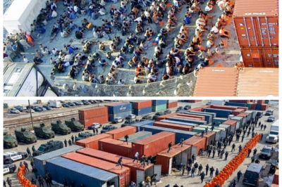 🐶 SHOCKING FBI RAID: $85M Somali Trucking Network SMASHED — 83 Arrested in a STUNNING Show of Force! In a breathtaking display of law enforcement power, the FBI has taken down an $85 million Somali trucking network, resulting in the arrest of 83 suspects! As the investigation unfolds, the implications of this massive bust raise eyebrows and ignite curiosity about the hidden connections that might lead to even bigger players. What shocking truths will emerge from this explosive operation? Buckle up for the revelations that could change the game! 👇