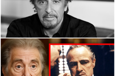 “Al Pacino Spills the Tea: The Secret Feud with Marlon Brando That Shook Hollywood!” Prepare for the scandal of the century! Al Pacino, now an elder statesman of cinema, has finally lifted the lid on his tumultuous relationship with the legendary Marlon Brando. What started as a promising collaboration on The Godfather quickly spiraled into a bitter feud filled with accusations and drama. As Pacino shares his side of the story, we are left questioning the very foundations of their partnership and what it truly meant for the film industry. This is a tale of betrayal, ambition, and the high stakes of fame that you won’t want to miss! 👇