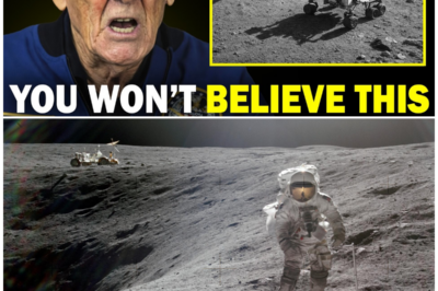 Absolute Void Above, Blinding Light Below: The Moon Experience NASA Could Never Fully Explain