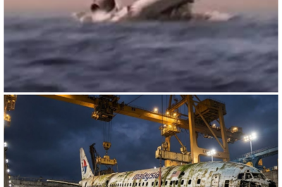 ✈️ IF MH370 IS FOUND TOMORROW — THE RECOVERY BILL COULD HIT A STAGGERING FORTUNE AND DRAG ON FOR YEARS, TURNING HOPE INTO A HIGH-STAKES RACE AGAINST TIME AND THE OCEAN ✈️ Sonar ships would mobilize overnight, cranes would creak into place, and governments would argue over every dollar as families watch breathlessly, realizing that bringing the wreckage home isn’t just emotional — it’s a logistical monster with a price tag that could shock even hardened officials 👇