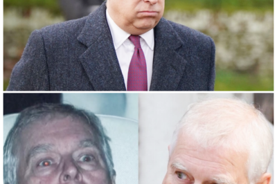 🐘 “Terrified and Sweating: Former Prince Andrew’s Troubling Release from Police Custody!” 💔 “When a royal’s world unravels, the façade can slip away.” Former Prince Andrew’s appearance after being released from police custody has drawn significant attention, with many noting his visibly terrified demeanor. As the fallout from his legal troubles continues, we explore the ramifications for his life and the royal family. Get ready for an in-depth look at the challenges facing this controversial figure! 👇
