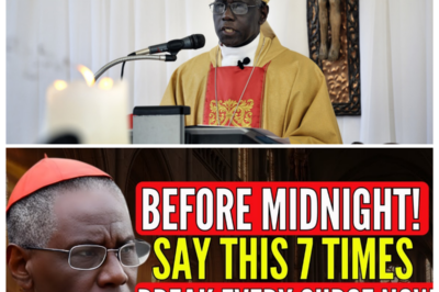 DO THIS 7 TIMES BEFORE MIDNIGHT OR RISK CARRYING EVERY “CURSE” INTO 2026—CARDINAL ROBERT SARAH’S URGENT SPIRITUAL WARNING HAS BELIEVERS DROPPING TO THEIR KNEES TONIGHT 🕯️ As the clock ticks louder and shadows stretch across empty churches, whispers spread of a simple ritual that could shatter years of bad luck and hidden burdens, turning ordinary bedrooms into battlegrounds of prayer where faith clashes with fear and nobody dares miss the final chime 👇