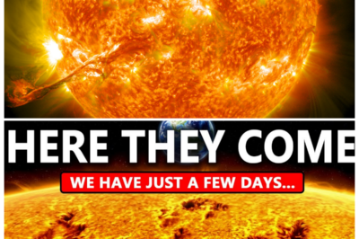 🐘 SHOCKING Discovery: The Mega-Sunspot That Could Change Everything! ☀️  “Sometimes, the universe has a way of surprising us!” In a stunning revelation, scientists are buzzing with excitement over what could be the birth of a colossal mega-sunspot, a phenomenon that has the potential to alter our understanding of solar activity! As researchers scramble to study this unprecedented event, the implications for Earth and our technology could be monumental. What does this mean for our planet? Prepare for a wild ride as we explore the mysteries of the sun and the thrilling possibilities that lie ahead! 👇