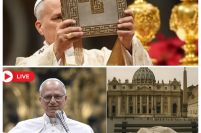 🛌 THE WAY POPE LEO XIV SLEPT LEFT THE VATICAN IN SHOCK—SECRET HABITS, STRANGE RITUALS, AND A BEDROOM MYSTERY THAT NOBODY WAS SUPPOSED TO SEE 😱 Servants whispered behind heavy curtains, historians gasped over diaries, and even cardinals rubbed their eyes in disbelief, because what looked like a simple night’s rest revealed eccentricities and spiritual routines so bizarre they turned a private moment into a global fascination 👇