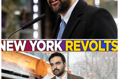 🐘 Zohran Mamdani’s SHOCKING Downfall: NYC’s Fury Unleashed as Scandal Erupts! 💥 “Who knew politics could be this messy?” In a stunning twist that has left the Big Apple reeling, the once-promising political star Zohran Mamdani finds himself at the center of a scandal that has ignited outrage across the city. As whispers of betrayal and corruption swirl like a tempest, the public’s fury reaches a boiling point, leaving many to wonder: is this the end of Mamdani’s political career or just the beginning of an even darker chapter? The streets are alive with protests, and the city demands answers! 👇