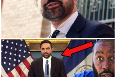 🐘 **”HUMILIATION FOR ZOHRAN MAMDANI: Communist Plan COLLAPSES and THIS HAPPENED!” 😨💥 In a shocking development, Zohran Mamdani is humiliated as a communist initiative he backed fails dramatically. “What led to this unexpected outcome?” As the dust settles, the political landscape shifts, prompting discussions about accountability and strategy. What are the next steps for Mamdani after this setback? The story is just beginning…👇