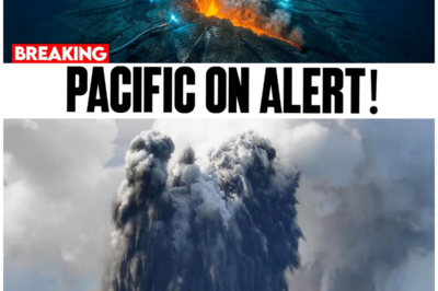 Hidden Beneath the Pacific, a Volcano Is Swelling – and Its Past Eruptions Tell a Chilling Story