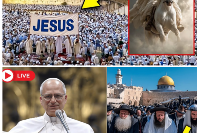 🕍 THOUSANDS WEPT IN JERUSALEM AS POPE LEO XIV DECLARED “CHRIST IS COMING SOON”—A SHOCKING PROPHECY THAT SENT SHIVERS THROUGH THE HOLY CITY ✝️ Pilgrims fell to their knees, candles flickered, and the air trembled with prayer as the Pope’s voice rang out over the Mount of Olives, leaving believers and skeptics alike clutching their hearts, convinced that something monumental is about to shake the world 👇