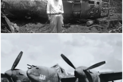 Japanese Pilots Couldn’t believe a P-38 Shot Down Yamamoto’s Plane From 400 Miles..Until They Saw It