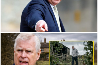 “ROYAL RAGE UNLEASHED: PRINCE ANDREW’S SHOCKING TANTRUM AFTER HIS EXILED BROTHER, THE FORMER PRINCE, IS SENT TO A ‘RAMSHACKLE’ FARM—THE ROYAL FAMILY IS REELING FROM THE AFTERSHOCKS”  It’s not just a royal scandal—it’s a meltdown. Prince Andrew couldn’t keep it together after his brother, the once-beloved Ex-Prince, was banished to a dilapidated farm. The tantrum that followed will have you questioning the stability of the entire royal family. What’s really happening behind palace doors? 👇