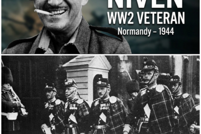 David Niven – From WW2 to Hollywood: The True Story