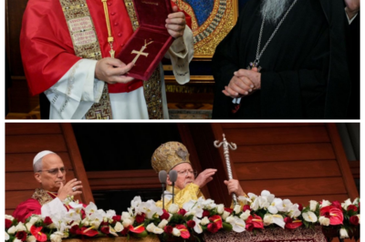 🕊️ LIVE FROM ISTANBUL: POPE LEO XIV JOINS ECUMENICAL PATRIARCH IN A SHOCKING SHOW OF UNITY THAT HAS THE WORLD GASPING ✝️ Cameras flash and crowds roar as centuries of division melt away before their eyes, with prayers rising over Hagia Sophia and whispers spreading that this historic moment could rewrite Christian history, leaving faithful and skeptics alike staring in awe 👇