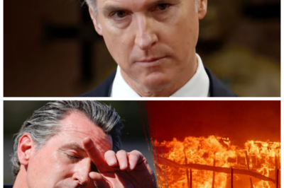 🐶 JILLIAN MICHAELS GOES OFF: NEWSOM’S ‘STAGGERING’ WASTE OF MONEY EXPOSED IN A DRAMATIC RANT! In a fiery tirade that has left jaws dropping, fitness guru Jillian Michaels has unleashed her fury on Governor Newsom, calling out his ‘staggering’ waste of taxpayer money! This explosive confrontation not only highlights the shocking mismanagement of funds but also raises urgent questions about accountability in leadership. What shocking truths will emerge from this dramatic clash, and how will it impact California’s future? Get ready for the sensational details that will have everyone buzzing! 👇