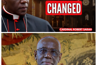 A Shocking Shift in Sunday Obligation — Cardinal Sarah Warns as the Pope’s New Rule Triggers Panic  Few Catholics expected such a sudden tremor at the heart of weekly worship. Behind carefully worded announcements and quiet Vatican discussions, Cardinal Sarah is signaling deep concern over a change many believe could redefine the meaning of Sunday obligation itself. What exactly has been altered, why the Pope’s new rule is unsettling the faithful, and how this decision could reshape Catholic life worldwide is now sparking whispered anxiety—read the full story by clicking the article link in the comments.