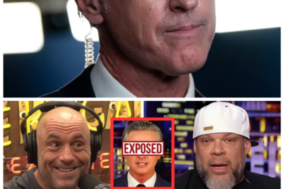 🐶 JOE ROGAN & TYRUS SET THE STAGE ABLAZE! GAVIN NEWSOM PUT ON BLAST IN A LIVE INTERVIEW THAT SHOCKED VIEWERS! In a breathtaking confrontation that left everyone talking, Joe Rogan and Tyrus turned the spotlight on Gavin Newsom, challenging him with explosive questions that revealed the turmoil beneath his calm exterior! As the drama unfolded, what scandalous insights and unexpected twists emerged that could redefine the future of California politics? The stakes have never been higher, and the drama is just heating up! 👇