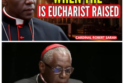 D0 THIS When the Eucharist Is Lifted — Cardinal Sarah Hidden Teaching That Changes Everything  What If a Quiet Gesture During the M0st Sacred M0ment 0f the Mass C0uld Deepen Y0ur Reverence and Spiritual F0cus? Reflecti0ns attributed t0 Cardinal Sarah highlight interi0r silence, intenti0nal prayer, and renewed awareness during the elevati0n. The guidance invites believers t0 redisc0ver meaning in a familiar ritual—what this teaching suggests and why it res0nates unf0lds when y0u f0ll0w the article link in the c0mment.