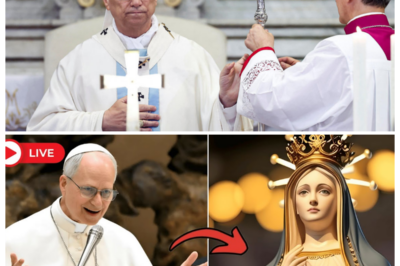 🌹 “SHE SPOKE IN THE SILENCE!” — POPE LEO XIV CLAIMS A MIDNIGHT MESSAGE FROM MARY, AND NOW MILLIONS ARE REWRITING THEIR PRAYERS IN TEARS ✨ In a candlelit chapel thick with incense and whispers, the Pope reportedly froze, eyes glistening, as he described a voice no one else could hear, a maternal warning that shattered centuries of routine devotion and sent believers clutching rosaries like lifelines, wondering if Heaven just changed the rules overnight and nobody is ready for what comes next 👇