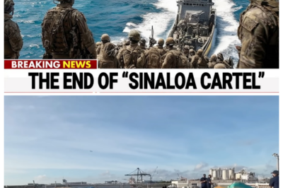 U.S. Navy TRAPPED Sinaloa Cartel’s $473M Dr*g Armada — Then THIS Happened...