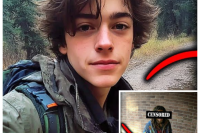 VANISHED IN THE OZARKS — 7 YEARS LATER “HE” WALKED BACK HOME… BUT HIS OWN MOTHER LOCKED THE DOOR 😨 — The boy who disappeared into the trees was mourned, buried in memory, practically declared a ghost… until a thin, silent stranger showed up on the porch claiming to be their son, smiling the same smile but speaking like someone else entirely, and when his parents looked into his eyes, they didn’t see reunion — they saw something deeply, terrifyingly wrong 👇