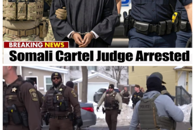 ICE & FBI EXPOSE Somali Judge in Minnesota — 26 Corrupt Cops & CJNG Dr*g Network UNRAVELED  Are These Explosive Allegations Backed by Federal Indictments and Court Filings — Or Is This Another Viral Headline Targeting Named Individuals Without Verified Evidence? Claims Involving a Sitting Judge, Dozens of Officers, and an International Cr*me Network Demand Documented Proof From DOJ, FBI, or Court Records. When Public Officials and Specific Communities Are Named, Accuracy Is Critical. Has an Official Press Conference or Indictment Confirmed These Details? Click the Article Link in the Comment to Review What Is Formally Documented — And What May Still Be Unverified Claims Circulating Online.