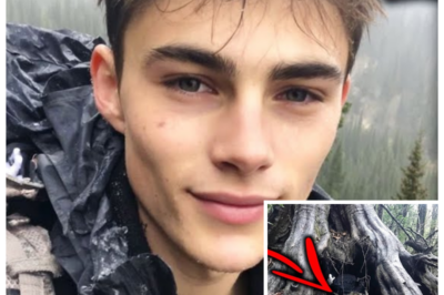 HE VANISHED ON THE APPALACHIAN TRAIL — 30 DAYS LATER SEARCHERS FOUND HIM CURLED INSIDE A COYOTE DEN, STARING LIKE AN ANIMAL 🐺 — Hikers thought it was just another missing-person tragedy swallowed by miles of wilderness, until a ranger followed a foul smell into a rocky hollow and froze… because the “wild creature” inside wasn’t a beast at all but a man, filthy, skeletal, growling at rescuers and shielding scraps of meat like prey, as if something out there had slowly erased every trace of the human he used to be 👇