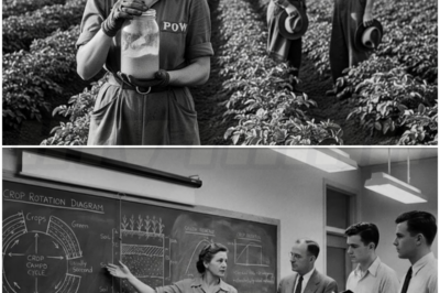 🎰 How One German Woman POW’s ‘GENIUS’ Potato Trick Saved 2 Iowa Farms From Total Crop Failure