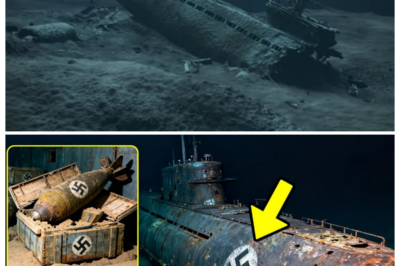 JUST NOW: A LOST NAZI SUBMARINE RISES FROM THE DEEP AFTER 80 YEARS—AND WHEN DIVERS PRY OPEN THE HATCH, THE SILENCE INSIDE IS MORE TERRIFYING THAN ANY WAR STORY ⚓ What began as a routine sonar blip turns into a cold-sweat nightmare as flashlights slice through black water and reveal rusted bunks, scattered relics, and eerie clues frozen in time, the kind that make even hardened explorers back away slowly, whispering that some wrecks were never meant to be disturbed 👇