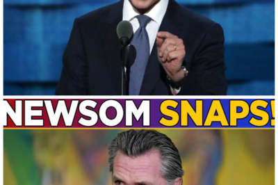 🐶 CALIFORNIA IN CHAOS! GAVIN NEWSOM HAS LOST IT AND THE WORLD IS WATCHING! In a shocking display of frustration, Gavin Newsom’s explosive outburst has sent shockwaves through the political landscape! As the fallout from his emotional breakdown unfolds, what hidden agendas and scandalous truths will come to light that could redefine his career? The stakes have never been higher, and the drama is just beginning! 👇