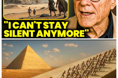 “I Found Out Who REALLY Built the Pyramids — And I Brought Proof” Graham Hancock Leaves World STUNNED  What If a Controversial Theory About the Pyramids Challenges the Established Archaeological Timeline? Graham Hancock presents alternative interpretations, disputed evidence, and reexamined ancient records that question mainstream conclusions. Supporters call it groundbreaking, critics remain skeptical—the claims, counterarguments, and alleged proof are explored in full when you follow the article link in the comment.