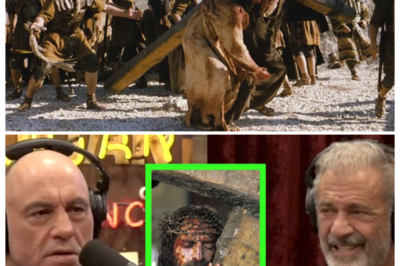 🎬 HOLLYWOOD VS. HEAVEN: MEL GIBSON BREAKS HIS SILENCE ON THE FURY, BOYCOTTS, AND BACKSTAGE WARS THAT TRIED TO BURY ‘THE PASSION’ — AND HIS STUNNING CLAIM ABOUT THE RESURRECTION SHOOK THE ROOM ✝️ With a gravelly voice and eyes locked in, Gibson peeled back the curtain on studio pressure, whispered threats, and cold shoulders from insiders who wanted the film gone, yet he insists the backlash only proved one thing — the story hit too close to the truth for comfort 👇